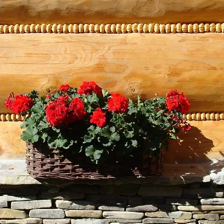 Chalet Jedrus *